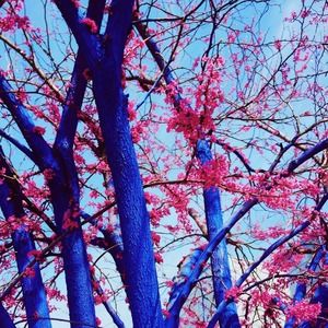 Meet your Posher, Isabel